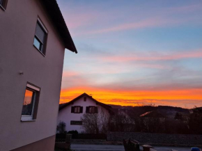 Ferienhaus Falkenstein